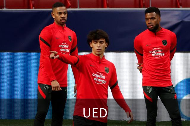 UED公司介绍
